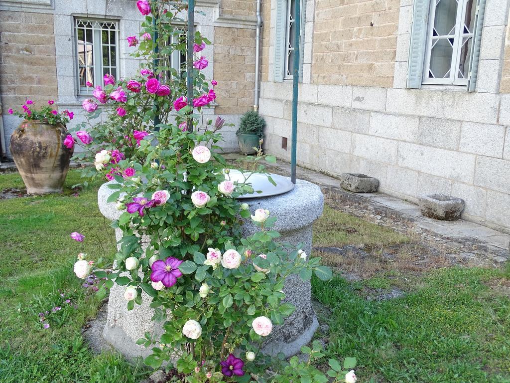 Chateau De Crocq - Chambres D'Hotes De Charme エクステリア 写真